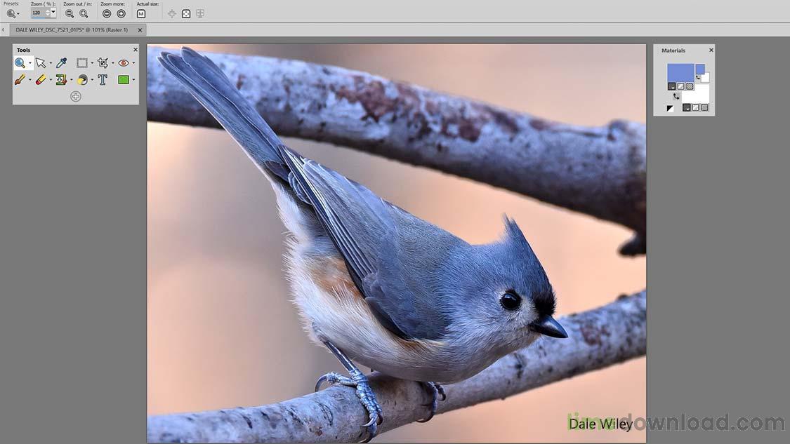 PaintShop