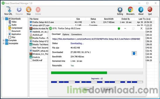 Neat Download Manager