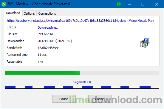 Neat Download Manager