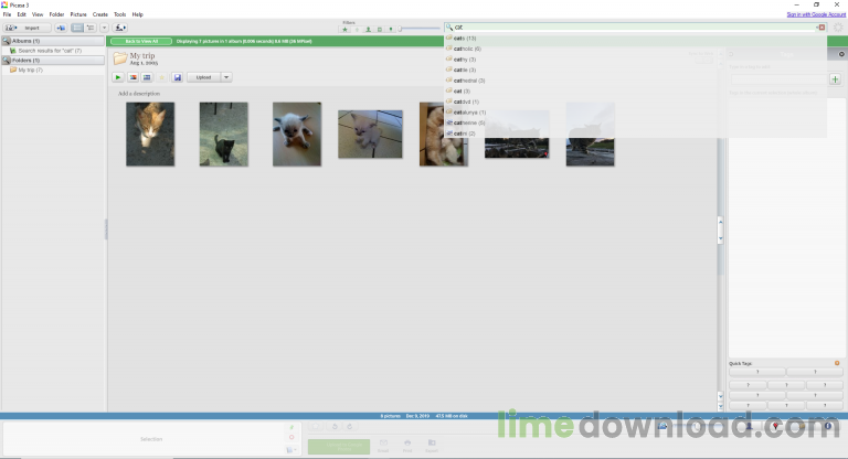 picasa_cat-1-768x416.png