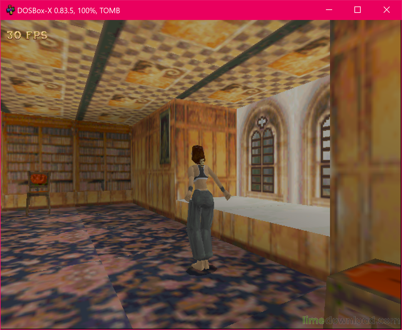 DOSBox-X