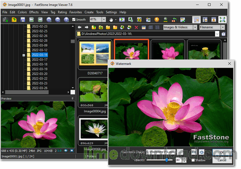 Portable FastStone Image Viewer