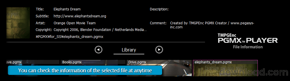 file_information.png