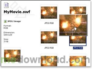swfextractor-screenshot3-small.jpg