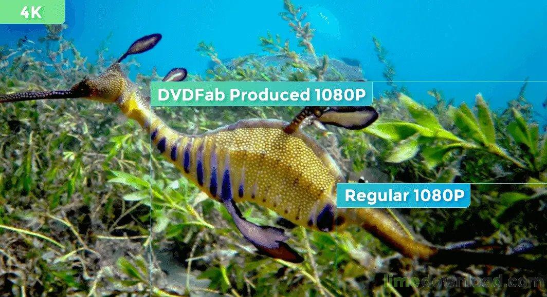 ezgif.com-webp-to-jpg _1_.jpg