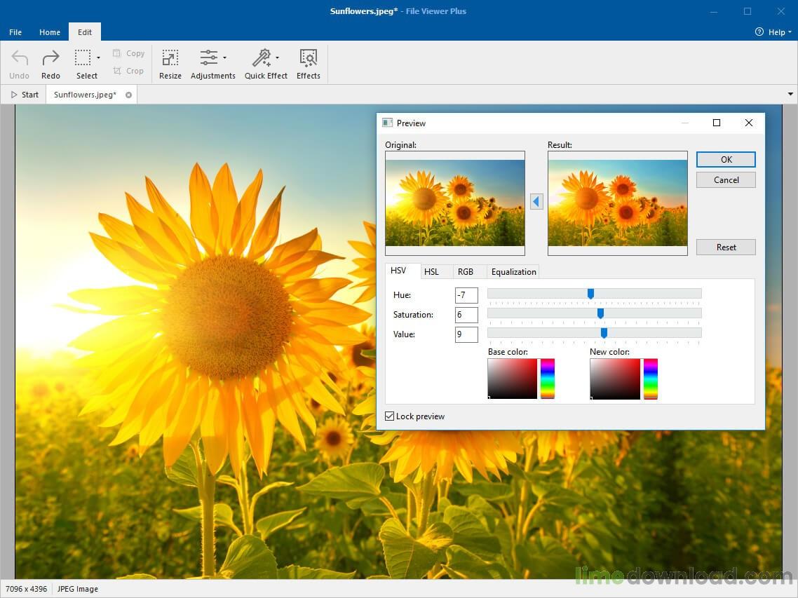 File Viewer Plus