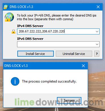 DNS Lock