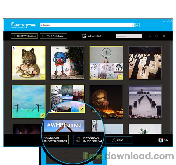 Save-o-gram Instagram Downloader