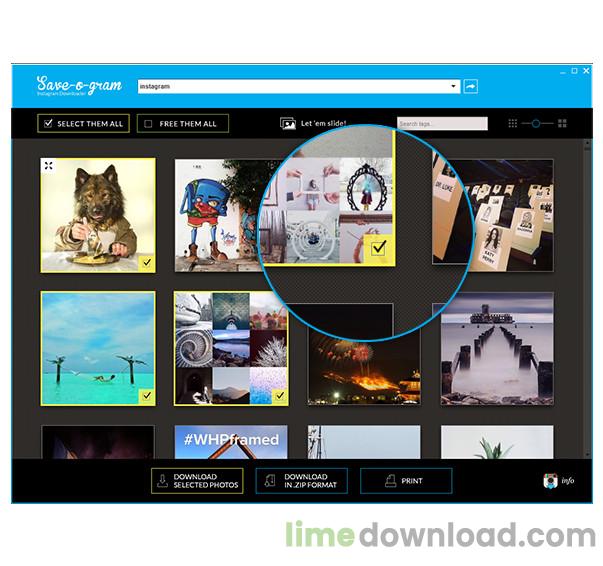 Save-o-gram Instagram Downloader