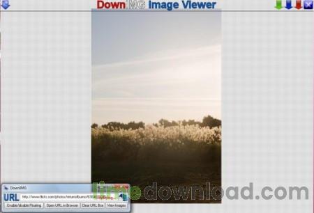 DownIMG