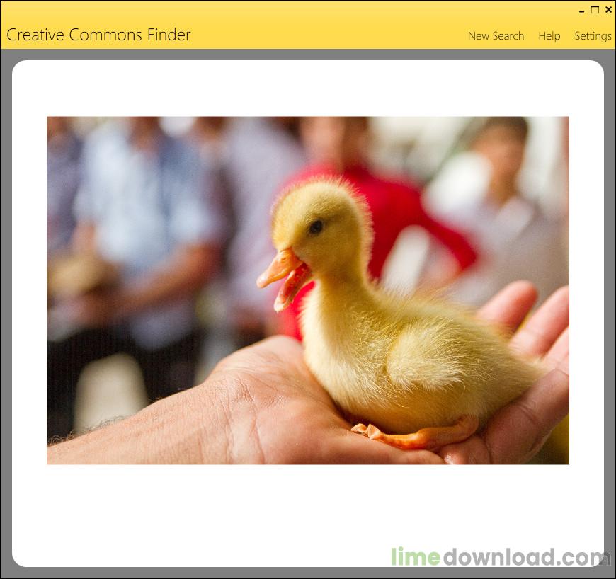 CCFinder