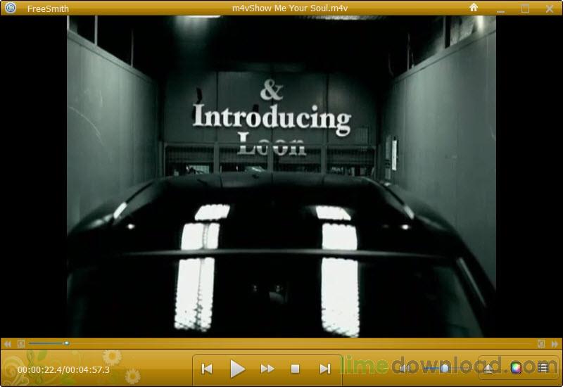 FreeSmith Video Player