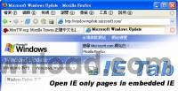 IE Tab