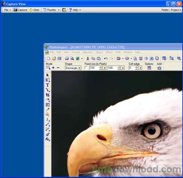 Capture View