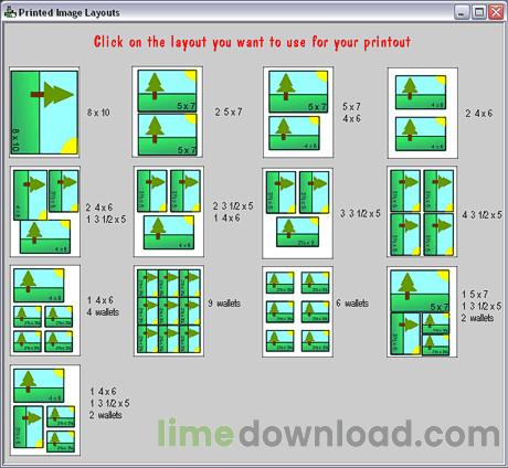 One Cat Picture Printer