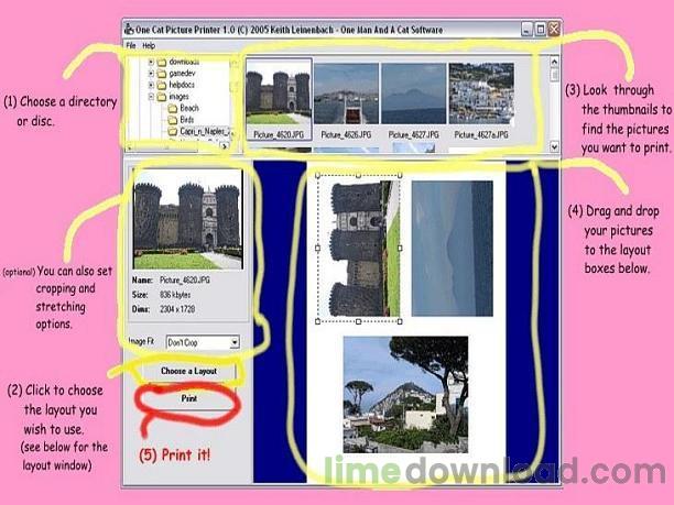 One Cat Picture Printer