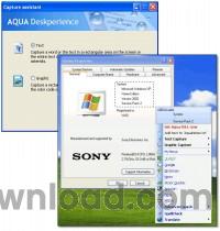 Aqua Deskperience