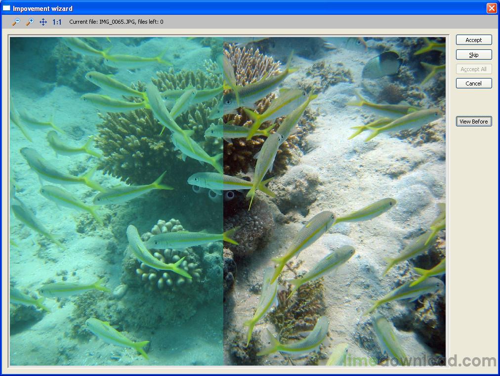 STOIK Imagic Free Browser