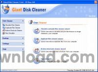 Giant Disk Cleaner