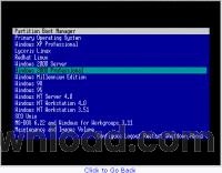 Partition Boot Manager