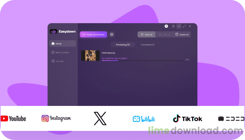 EasyDown Video Downloader
