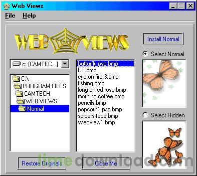 webviewsss.jpg