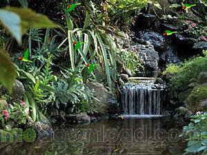 water320x240.jpg