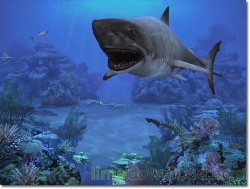 sharks04_r2_c2.jpg