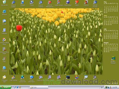 wallpaper_frame_25.jpg