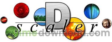 dscalerlogobig.jpg