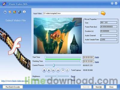 flash_video_main1.jpg
