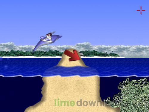 dolphinjump.jpg