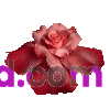 rose2.gif