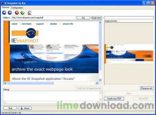 IE Snapshot