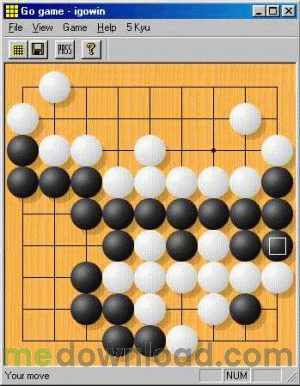 igowin.gif