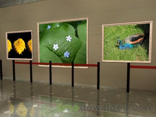 My Pictures 3D Album