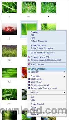 Morz Image Converter