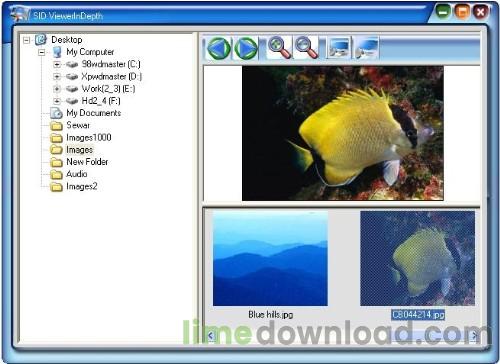 Image Viewer In Depth